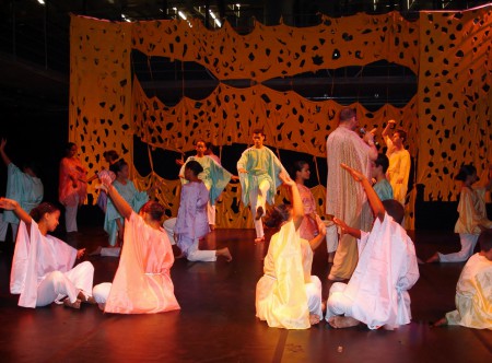 BRASIL, VOU CANTAR-TE COM MEUS GESTOS (2007)